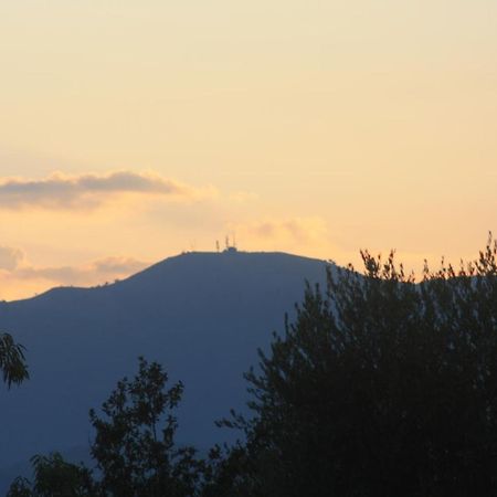 La Quercia Agriturismo Империа Екстериор снимка